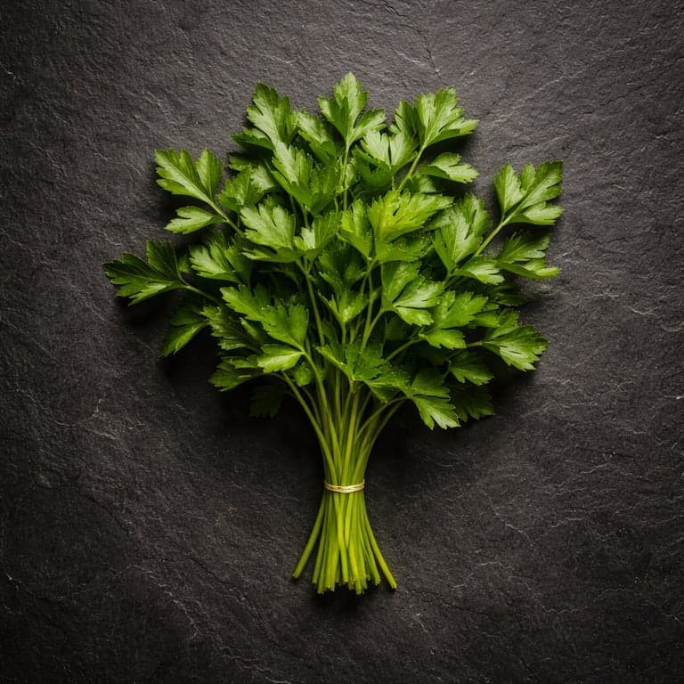 Flat-leaf Parsley